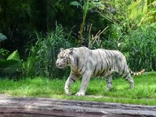 アジアンリラクゼーション ヴィラ 福岡東店(asian relaxation villa)/バリ・サファリ＆マリンパーク