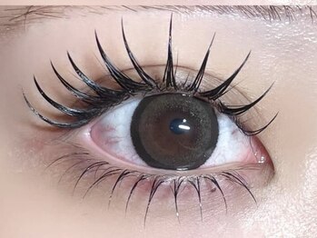 ポラール バイ ルピナス 代官山店(Polar by Lupines)/代官山店 人気のLEDエクステ