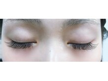 ラニン(Lanin)/ボリュームラッシュ　100束