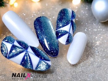 ネイリックス アヴェニール(NAILX avenir)/ブルーマグネット