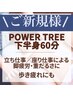 【パワーツリー下半身60分】ツリー初心者様！必見☆通常¥9900→¥6600