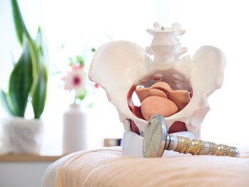 アネモネ(ANEMONE)