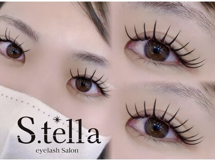 ステラ(S.tella)の写真