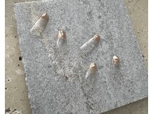 ツリーハウスネイル(tree house nail)/ハンド定額¥5900