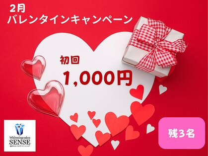 センス(SENSE)の写真