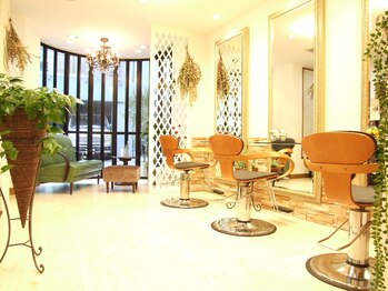 アイドレッサー(I DRESSER)/美容室 R DRESSER