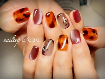 ネイルトップエクル(nail top E CRU)/べっ甲×マグネット