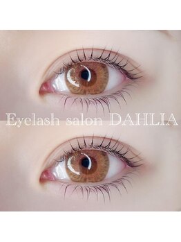 ダリア(DAHLIA)/パリジェンヌラッシュリフト