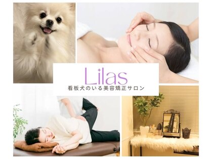 リラ(Lilas)の写真