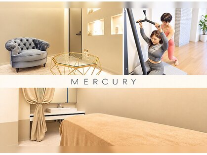 ボルテージ マーキュリー 湯島本郷店(Voltage Mercury)の写真
