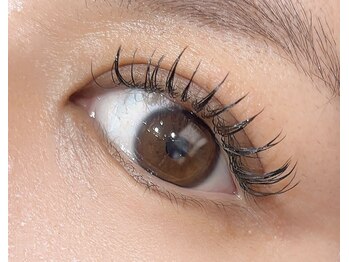 ペルシャ(Persian)/お客様デザイン(担当/長島)