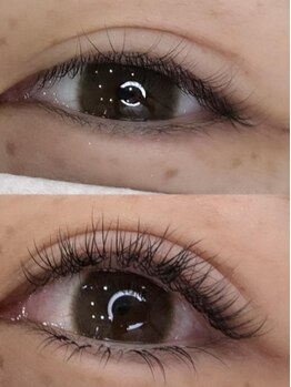 リル(Rilu)/フラットラッシュ