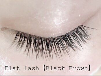 ハーゼ(Hase)/Flat Lash【Black  Brown】160本