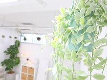 アジア整体 天白院/ディスキディア　エメラルド