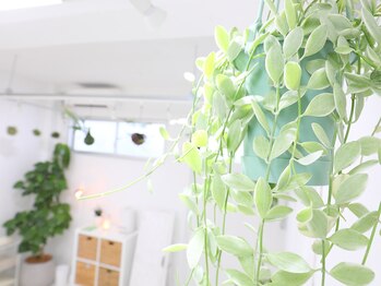 アジア整体 天白院/ディスキディア エメラルド