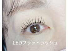 キャットウィンク(catwink)/