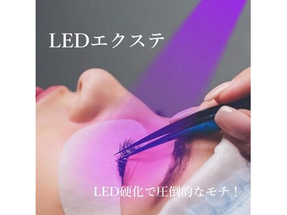 レヴィア(REVIA)の写真