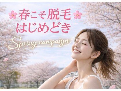 オワゾーブルー(Oiseaubleu)の写真