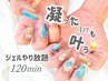 【オフ込み】持ち込みデザイン/ジェルアートやり放題120分