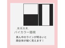 ブルースター(BLUE STAR)/バイカラー錯視