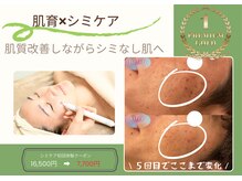 リーフ