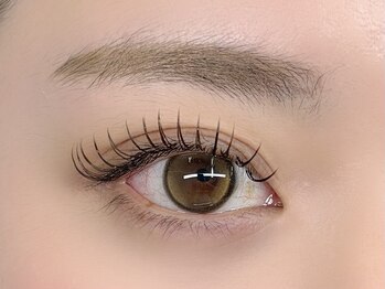 バタフライ 茅ヶ崎店(Butterfly)/ロイッシュブラウン100束