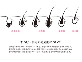 ミネアート 北千住店(mineart)/高濃度♪幹細胞トリートメント