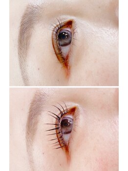 サロン ラファエ(Salon Raphae)/パリエク80本