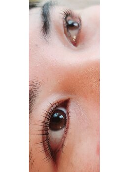 コア(Koa)/パリジェンヌ+ティント