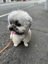 アイラッシュサロンボニー(eyelash salon Bonnie)&nbsp;Nakanishi 