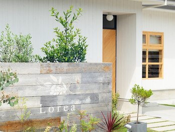 ロレア(Lorea)/