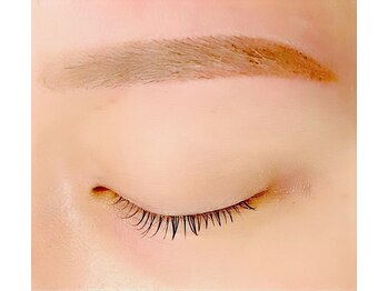 レディースアイ(LADY's eye)の写真/眉毛の流れを改善し清潔感up！朝のメイクが楽に！美眉wax☆まつ毛パーマと合わせて目元のトータルケア☆