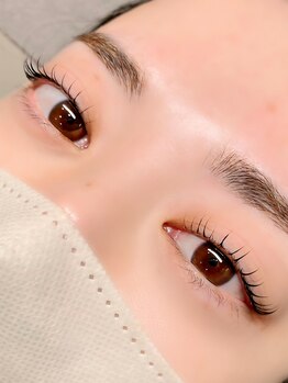 ティディーネスト(Tidynest)/まつげパーマ