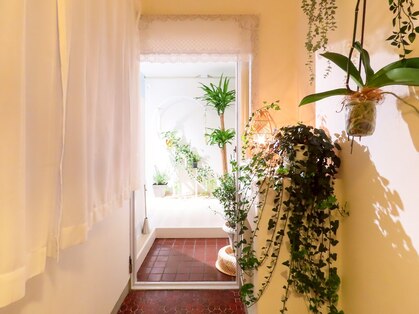 スロー(Slow)の写真