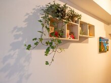 シェルジンジャー(shell ginger)/店内