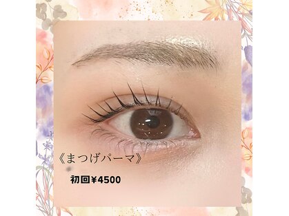 ティーエスエフビーエイト(T.S.F.B Eight)の写真