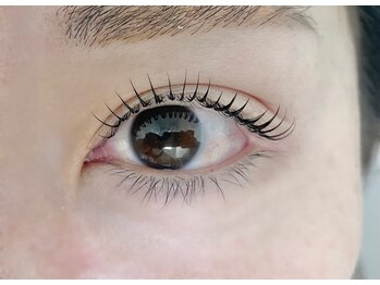 シェア(Share)/ラッシュリフト