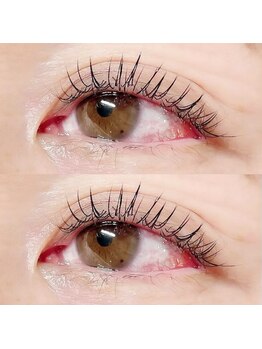 ビビ(BiBi)/フラットラッシュ100本