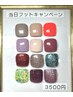 【限定カラーフットネイル】3500円！ワンカラー