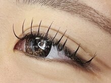 セレストヴィーナス(Celeste Venus)/フラットラッシュ120本★