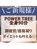 【パワーツリー全身90分】ツリー初心者様！必見☆通常¥13200→¥9900