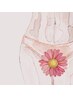 Ladies脱毛【初回限定】　VIO脱毛
