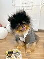 トマト(ToMoTo) バーボン君