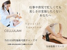 シェリア 桜新町