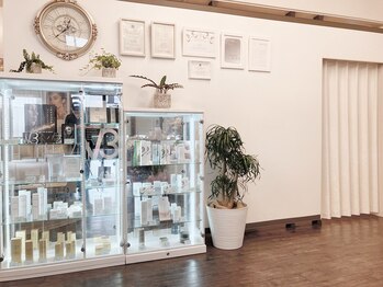 ビューティーシモン(B.t shimon)/ショーケース