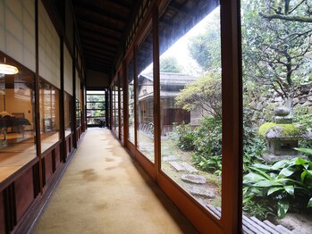 美心/とにかく落ち着きます