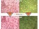 ベベ 金沢片町店(Be’be’)の写真