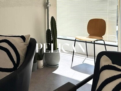 ペリカン(PELICAN)の写真