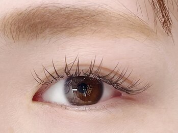 リプリ(RePuli)/フラットラッシュ120本