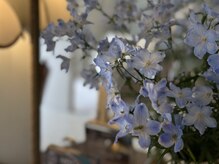 エーエルシーバイドアーズ(A.L.C by Door's)の雰囲気(落ち着いた店内で、ゆったりカウンセリング)